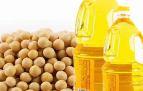 Refined Soybean Oil