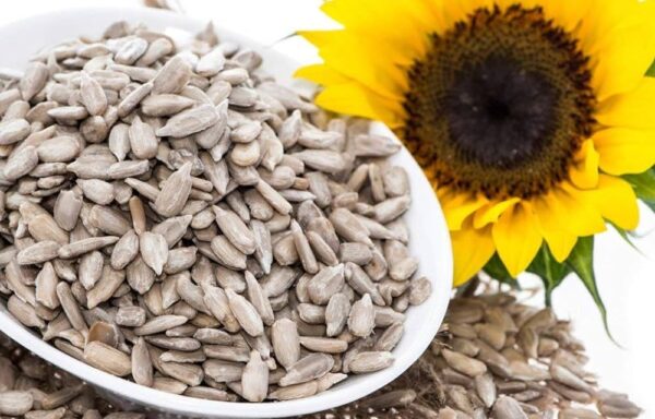 Dried Sunflower Seeds