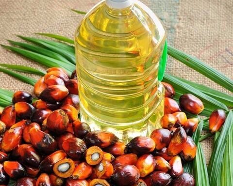 Refined Palm Olein Oil,